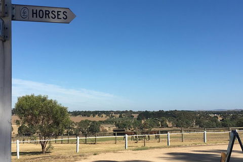 Legends & Champions Tour - Lennox Head Accommodation 5