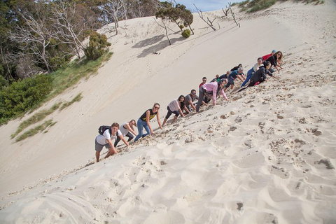 3 Day Tasmanian Wild West Coast Tour From Hobart To Launceston - Lennox Head Accommodation 2
