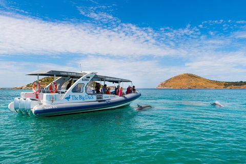 Southern Ocean Adventure From Victor Harbor - Lennox Head Accommodation 1