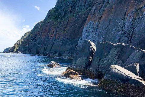 Southern Ocean Adventure From Victor Harbor - Lennox Head Accommodation 3