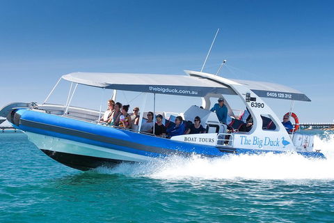 Southern Ocean Adventure From Victor Harbor - Lennox Head Accommodation 5
