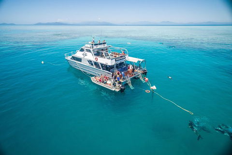 Ocean Freedom Great Barrier Reef Personal Luxury Snorkel & Dive Cruise, Cairns - Lennox Head Accommodation 0