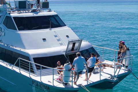Ocean Freedom Great Barrier Reef Personal Luxury Snorkel & Dive Cruise, Cairns - Lennox Head Accommodation 1