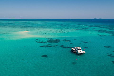 Ocean Freedom Great Barrier Reef Personal Luxury Snorkel & Dive Cruise, Cairns - Lennox Head Accommodation 2