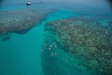 Ocean Freedom Great Barrier Reef Personal Luxury Snorkel & Dive Cruise, Cairns - Lennox Head Accommodation 3