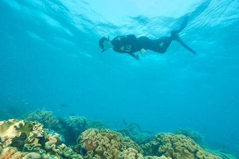 Ocean Freedom Great Barrier Reef Personal Luxury Snorkel & Dive Cruise, Cairns - Lennox Head Accommodation 5