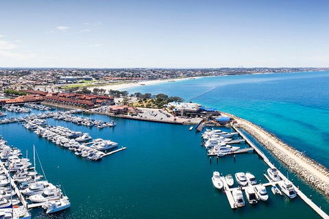 Lunch And General Admission Entry At AQWA - Lennox Head Accommodation 3