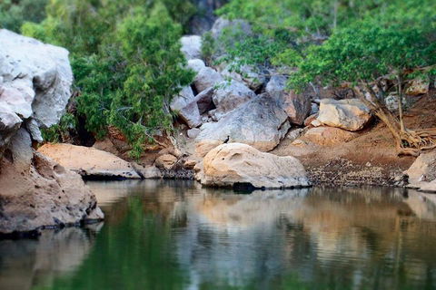 Windjana Gorge And Tunnel Creek 4WD Tour From Broome - Lennox Head Accommodation 5