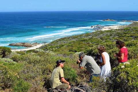 Margaret River Coastal And Wildlife Eco Trip From Busselton Or Dunsborough - Lennox Head Accommodation 2