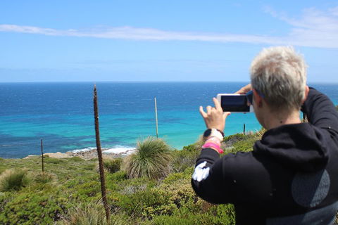 Margaret River Coastal And Wildlife Eco Trip From Busselton Or Dunsborough - Lennox Head Accommodation 3